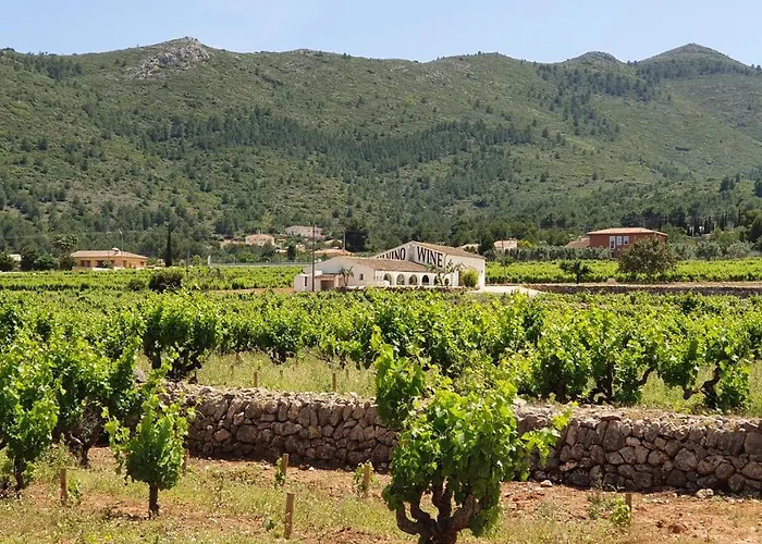 Modern Jávea